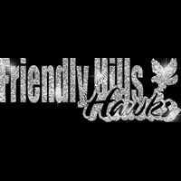 GLT1 SILVER GLITTER Thumbnail